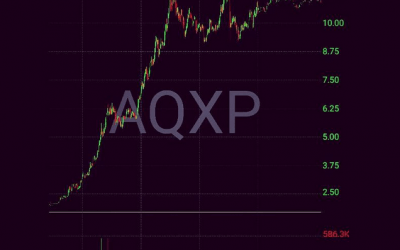 Raw Footage $AQXP Squeeze “Float Rotation” and “Reclaim”
