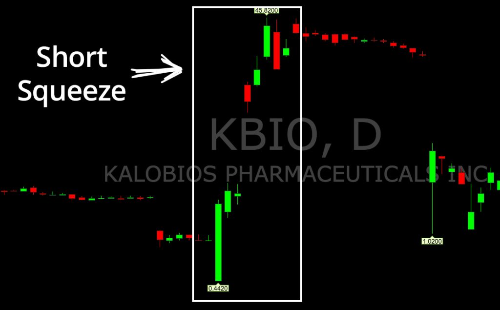 Kbio Stock Chart