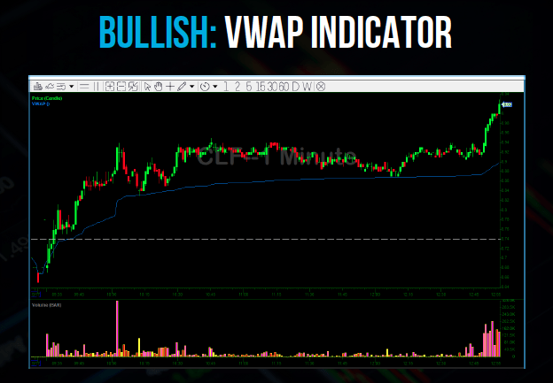 Vwap Indicator