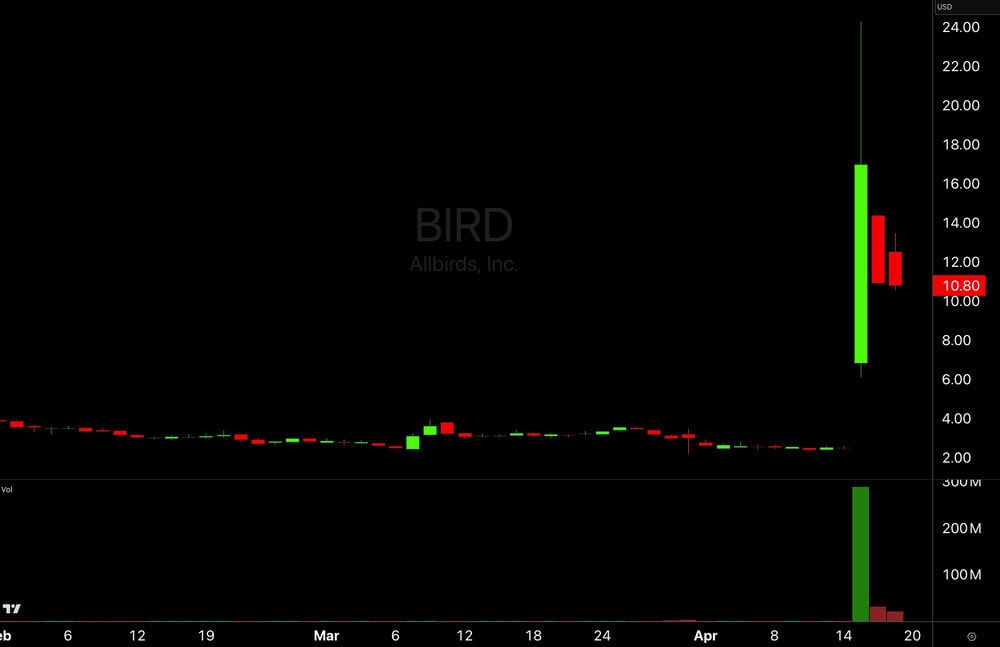 Bird